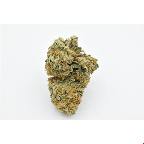 cali bubba bee(1).jpg